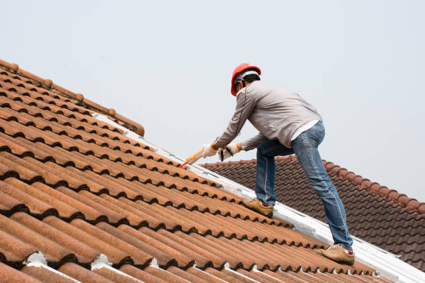 Best Green or Eco-Friendly Roofing Solutions  in Albany, OR